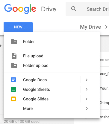 Screenshot of Google Drive document options